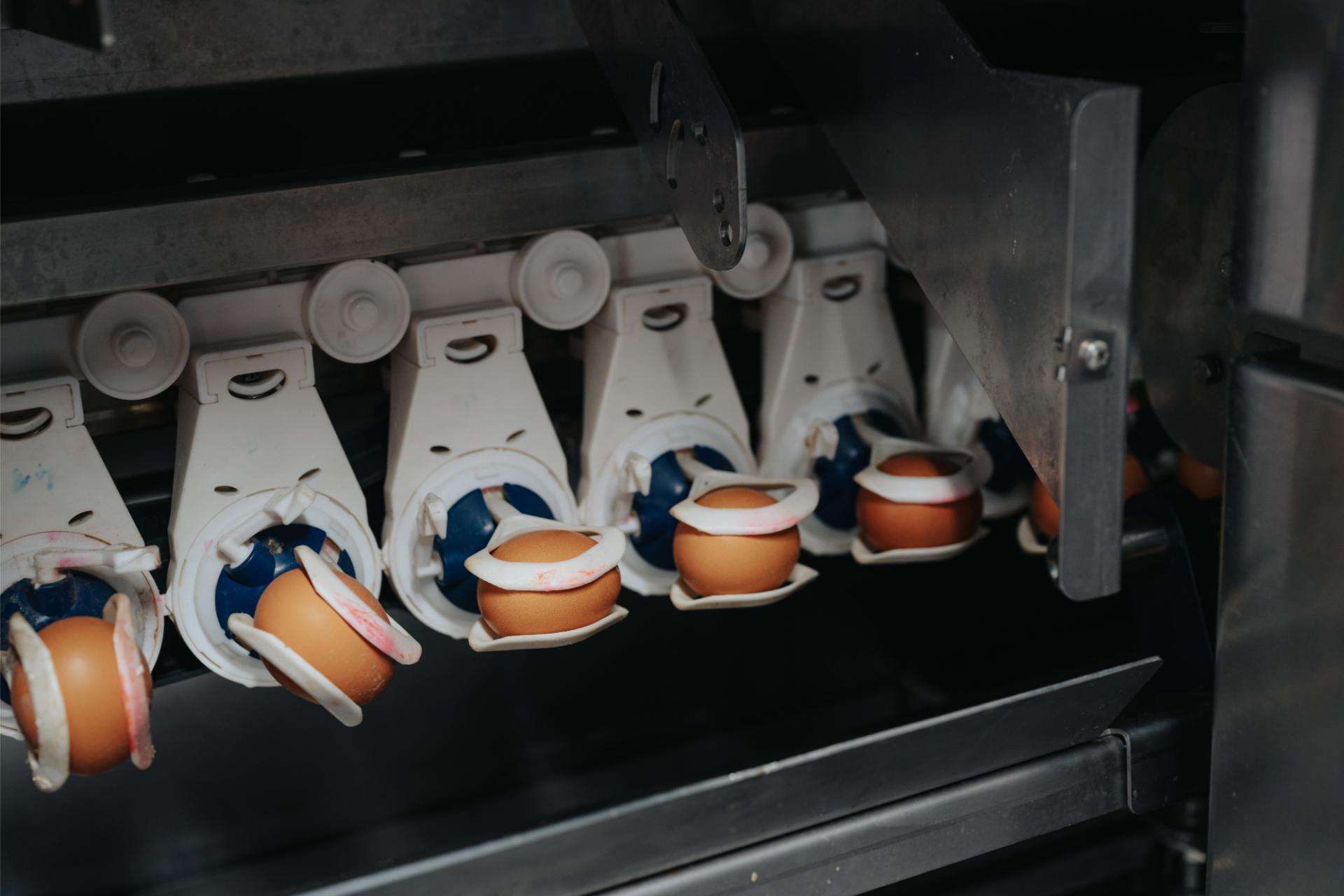 Eigen sortering, eigen verantwoordelijkheid